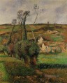 die cabage Ort bei Pontoise 1882 Camille Pissarro